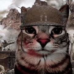 warcat