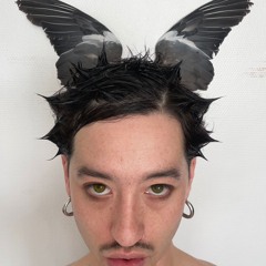 DRAGON SALOMON