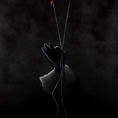 d_loy__