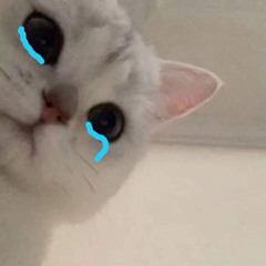 ngmiz