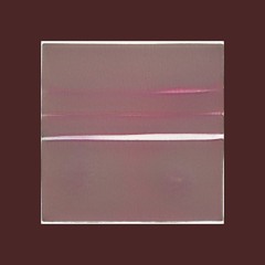 Accipioformica-zokoconbu