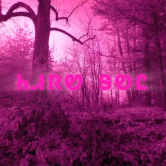 ᏂᏗᏒᏬ ᏕᎧᏝ