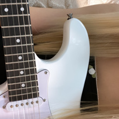 예의바른고양이