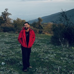 Mehrdad Narimani