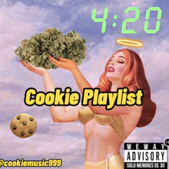 Cookie🍪
