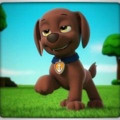 PAW Patrol: albums, songs, playlists