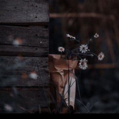Nourhan Khalid