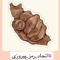 shahin
