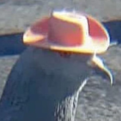 EG