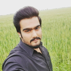 Mohammed Faizan Chattha