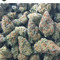 Kush King