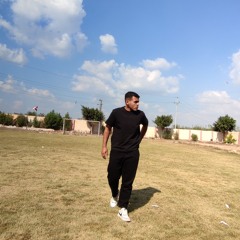 Anas