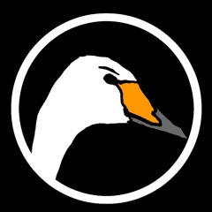angry whooper