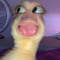 Maay