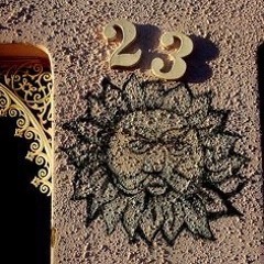 23Reasons