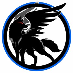 Dr_Wolflow