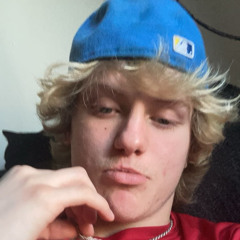 223$noopy