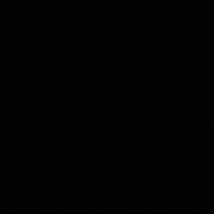 Alturus