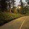 DarkRoad