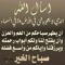Tarek Saleh ALmulla