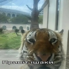 Kirill_BleDny