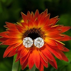 Emmanuel Mdenana Maluleke