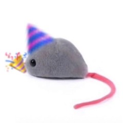 ChibiSlug