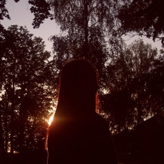 чёрная зависть