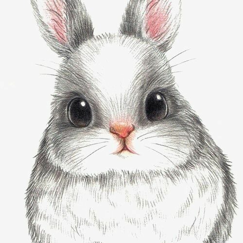 bunny hood’s avatar