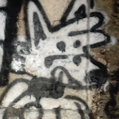 devthefox