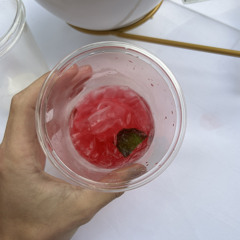 cheers to queen (gone)