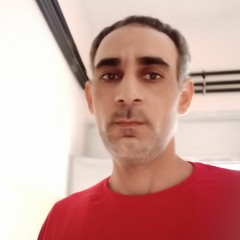 Le Professeur Hamada