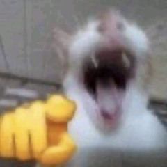 uh