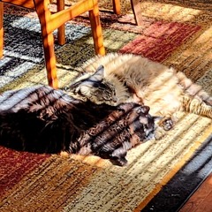 NOSTALGIA FOR AN HOUR AGO.