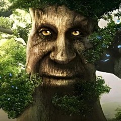 𝖒𝖞𝖘𝖙𝖎𝖈𝖆𝖑 𝖙𝖗𝖊𝖊