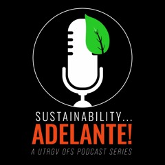 SA Episode 23; Sustainability and Recycling in the RGV with the LRGVDC