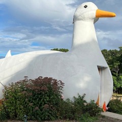 theluigiguy