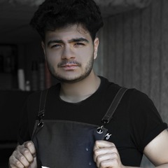 yasin hesami