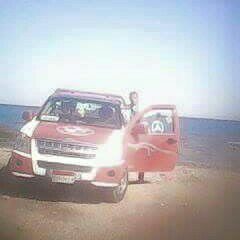 محمود سعيد شافعي