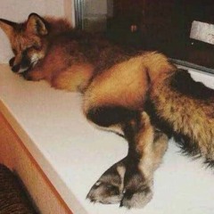 Scratch Fox