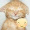 @jck.dxn