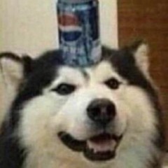 spacer.png