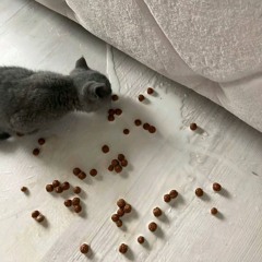 tishka