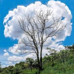 Fabian andres Marquez