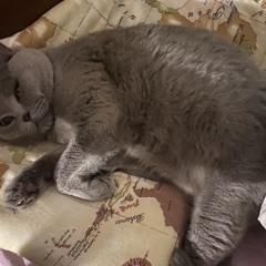 Підор