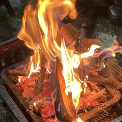 화분(花粉) demo