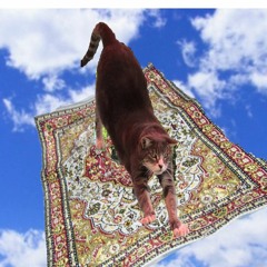 Robbie Seahag Mangano