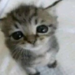 _,,,,,,,,,,,,,,,,,,,,, ||