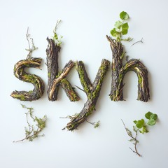 skyh