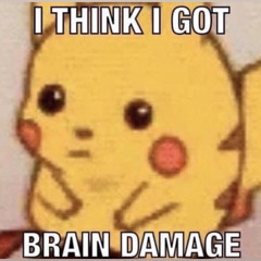 yep_I_have_brain_damage